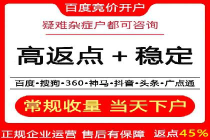 某电商平台的SEM推广策略及效果分析